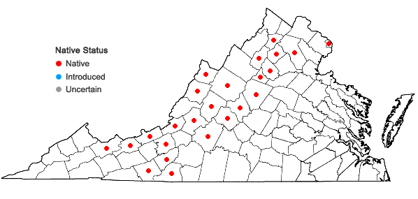 Locations ofVeratrum hybridum (Walter) Zimmerman ex Zomlefer in Virginia