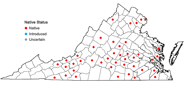 Locations ofVeratrum virginicum (L.) Aiton in Virginia