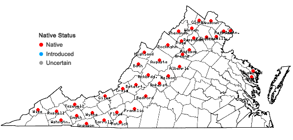 Locations ofVeratrum viride Aiton in Virginia