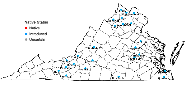 Locations ofVerbascum phlomoides L. in Virginia