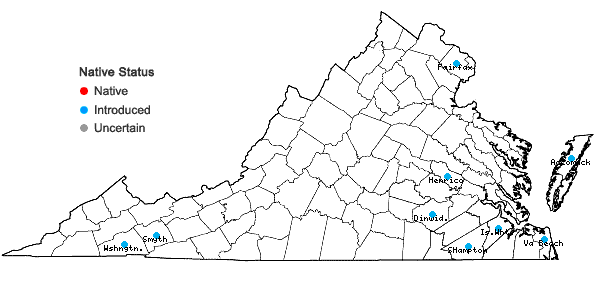 Locations ofVerbena officinalis L. in Virginia