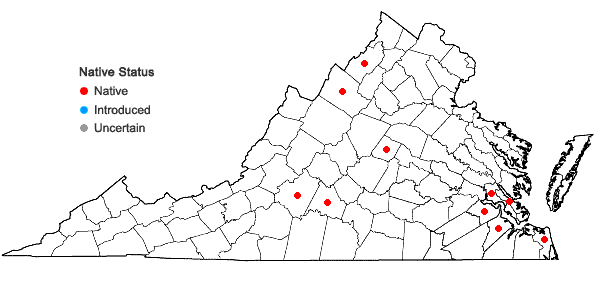 Locations ofVerbena scabra Vahl in Virginia