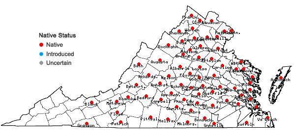 Locations ofVernonia glauca (L.) Willd. in Virginia