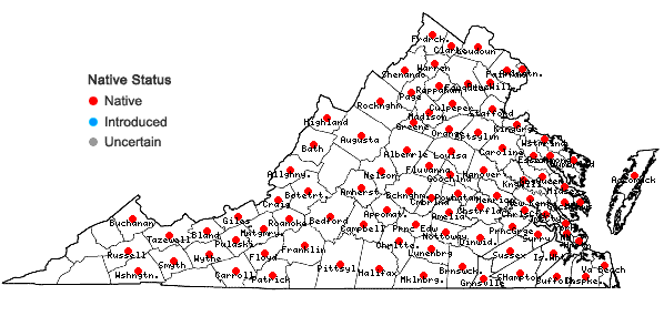 Locations ofVernonia noveboracensis (L.) Michx. in Virginia