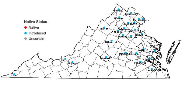 Locations ofVeronica agrestis L. in Virginia