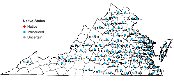Locations ofVeronica hederifolia L. in Virginia