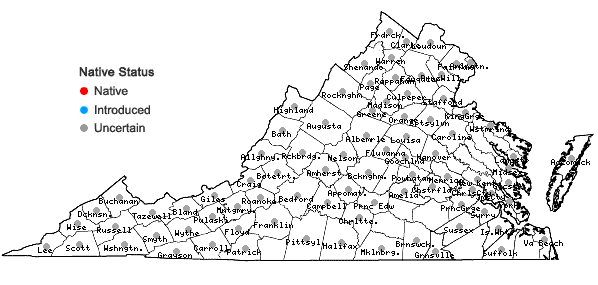 Locations ofVeronica officinalis L. in Virginia