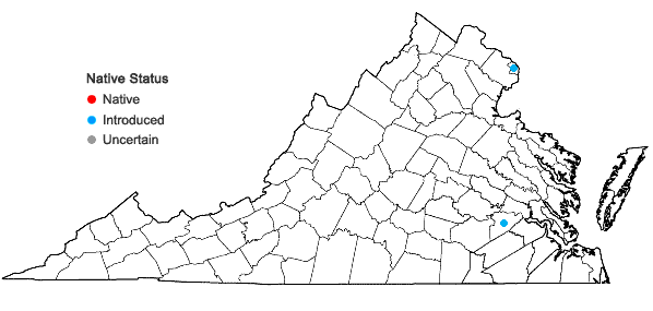 Locations ofVeronica polita Fries in Virginia