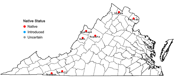 Locations ofVeronica scutellata L. in Virginia