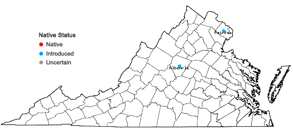 Locations ofVeronica sublobata M.A. Fischer in Virginia