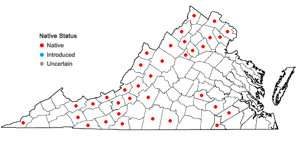 Locations ofVeronicastrum virginicum (L.) Farwell in Virginia
