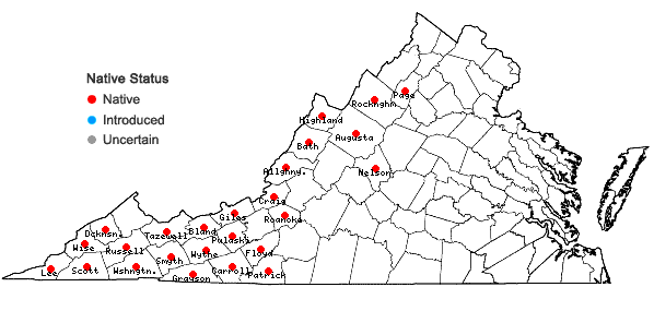 Locations ofViburnum cassinoides L. in Virginia