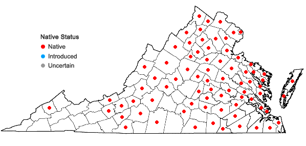 Locations ofViburnum dentatum complex in Virginia