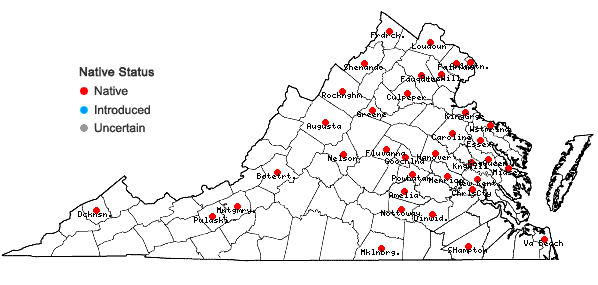 Locations ofViburnum dentatum L. in Virginia