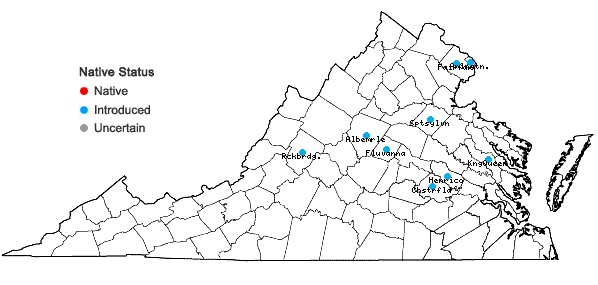 Locations ofViburnum dilatatum Thunberg in Virginia