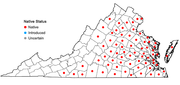 Locations ofViburnum nudum L. in Virginia
