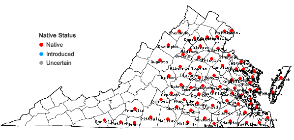 Locations ofViburnum nudum L. in Virginia