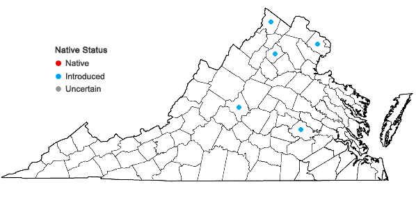 Locations ofViburnum opulus L. var. opulus in Virginia