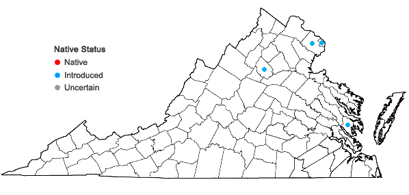 Locations ofViburnum plicatum Thunb. in Virginia