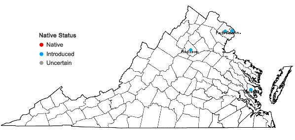 Locations ofViburnum plicatum Thunb. in Virginia