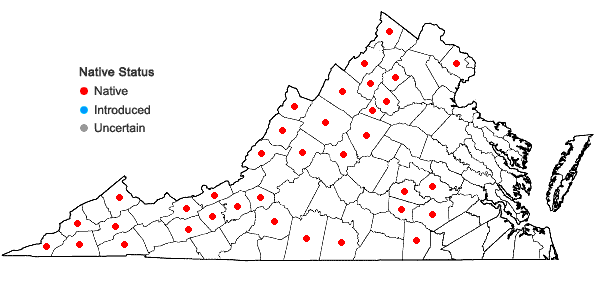 Locations ofViburnum rafinesqueanum J. A. Schultes in Virginia