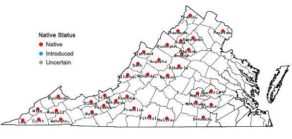 Locations ofViburnum rafinesqueanum J. A. Schultes in Virginia