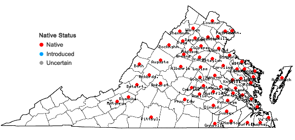 Locations ofViburnum recognitum Fernald in Virginia