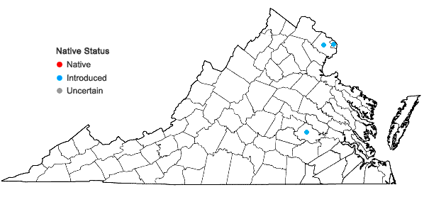 Locations ofViburnum setigerum Hance in Virginia