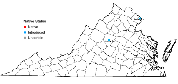 Locations ofViburnum sieboldii Miq. in Virginia