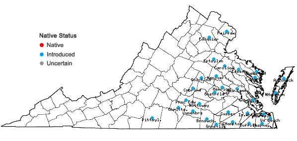 Locations ofVicia grandiflora Scop. in Virginia