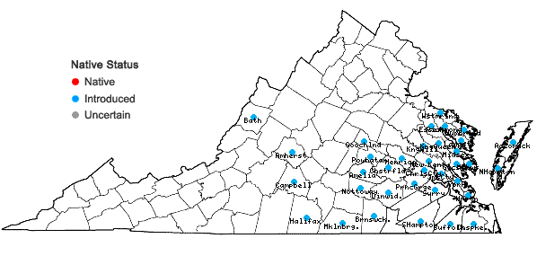 Locations ofVicia hirsuta (L.) S.F. Gray in Virginia