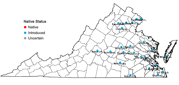 Locations ofVicia tetrasperma (L.) Schreb. in Virginia