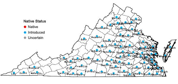 Locations ofVicia villosa Roth ssp. varia (Host) Corbiere in Virginia