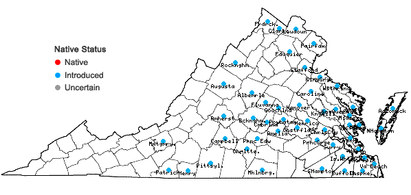 Locations ofVinca major L. in Virginia