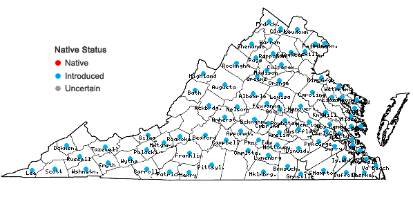 Locations ofVinca minor L. in Virginia