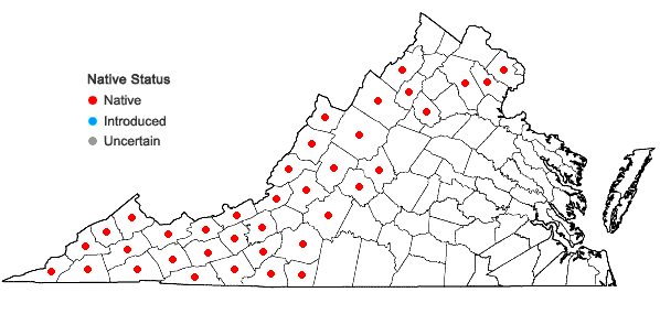 Locations ofViola blanda Willd. in Virginia