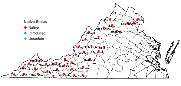 Locations ofViola blanda Willd. in Virginia