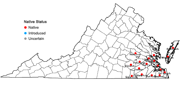 Locations ofViola brittoniana Pollard in Virginia
