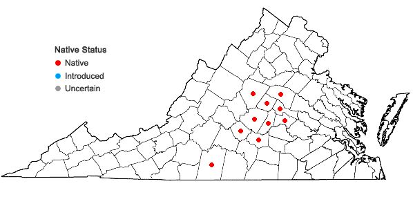 Locations ofViola communis Pollard in Virginia