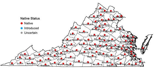Locations ofViola cucullata Ait. in Virginia