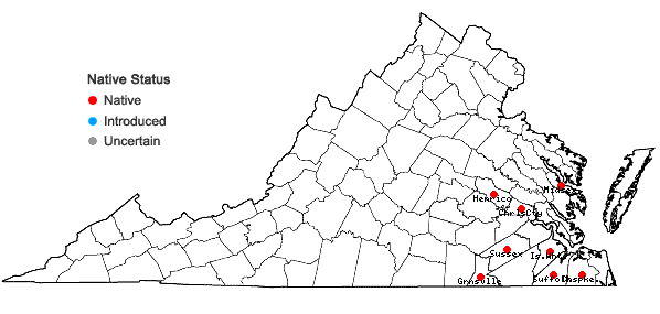 Locations ofViola edulis Spach in Virginia