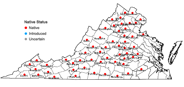 Locations ofViola eriocarpa Schwein. in Virginia