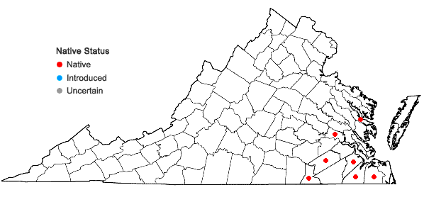 Locations ofViola esculenta Ell. in Virginia