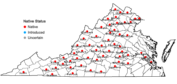 Locations ofViola fimbriatula J.E. Smith in Virginia