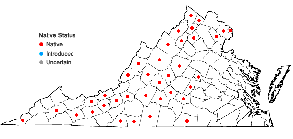 Locations ofViola hirsutula Brainerd in Virginia