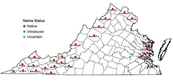Locations ofViola labradorica Schrank in Virginia