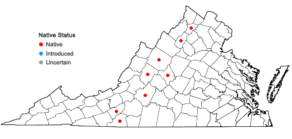 Locations ofViola monacanora J.L.Hastings & H.E.Ballard in Virginia