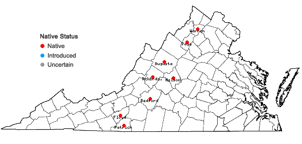 Locations ofViola monacanora J.L.Hastings & H.E.Ballard in Virginia
