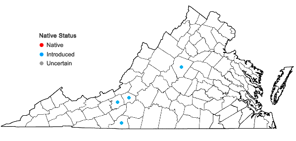 Locations ofViola odorata L. in Virginia