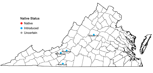 Locations ofViola odorata L. in Virginia